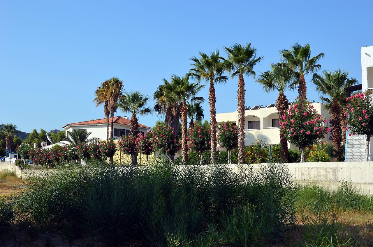 Muses Hotel 3*