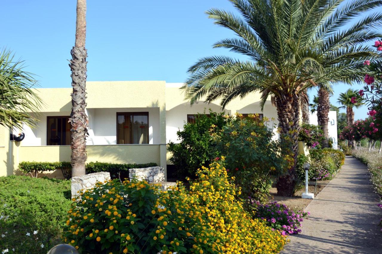 Muses Hotel 3*